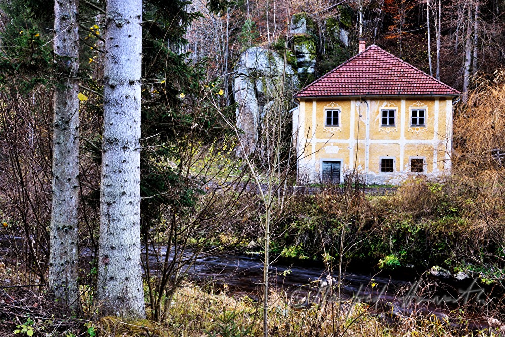 Mühle am Ufer der Waldaist