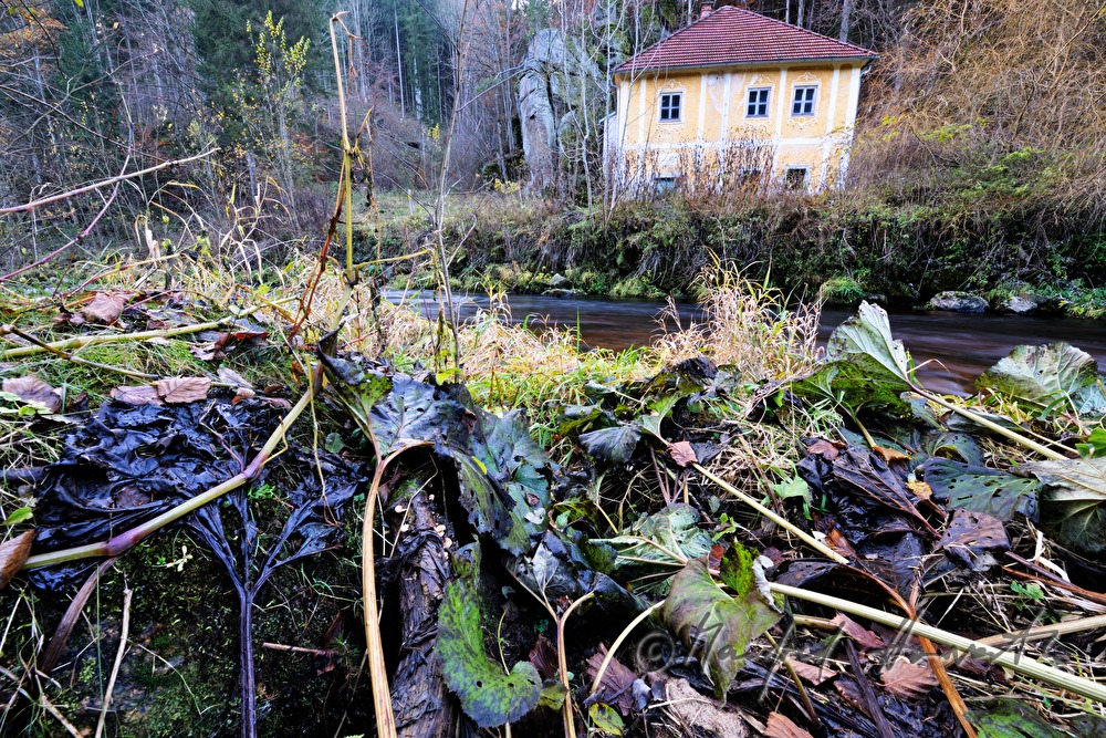 Mühle am Ufer der Waldaist