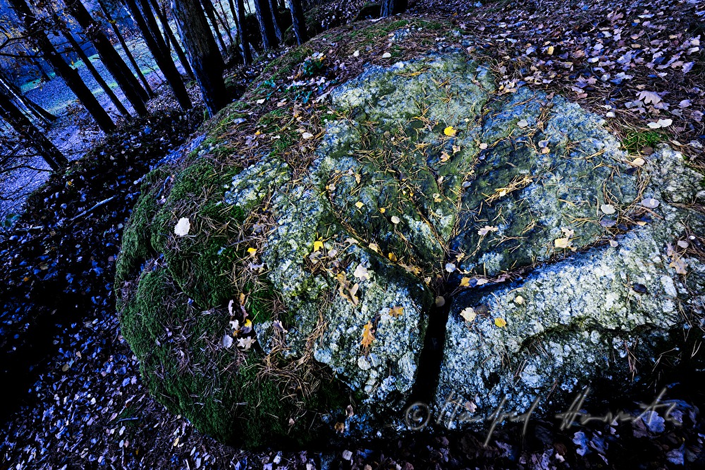 Pechölstein im Wald