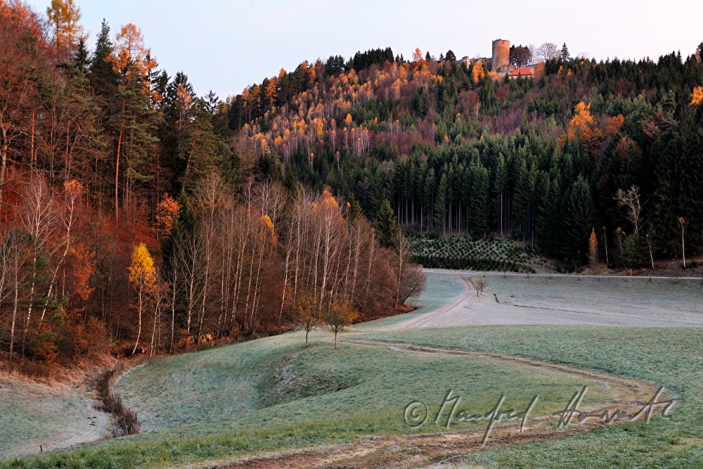 Bodennebel und Herbstwald bei der Burgruine