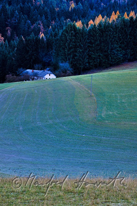 solitäres Bauernhaus am Waldrand bei der Ruine Prandegg