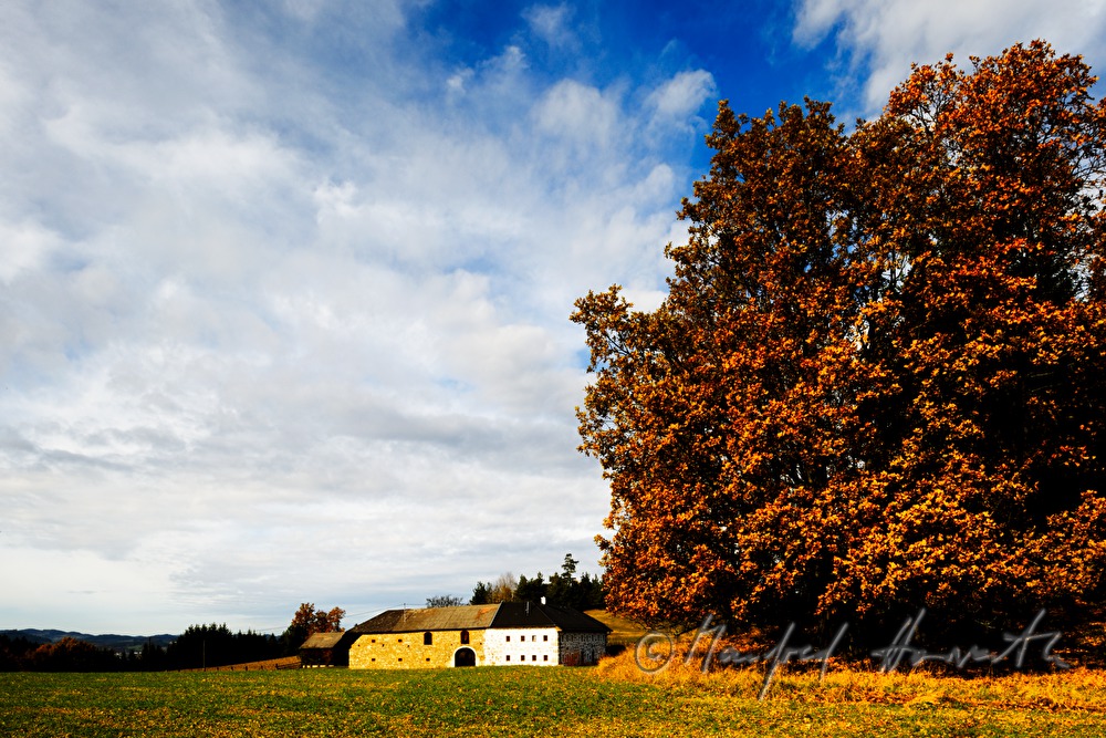 Bauernhof 