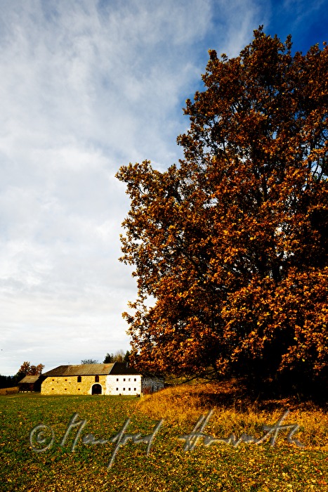 Bauernhof 