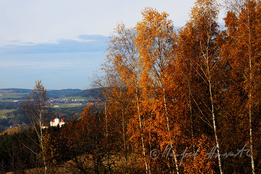 Schloss Weinberg und Herbstwald