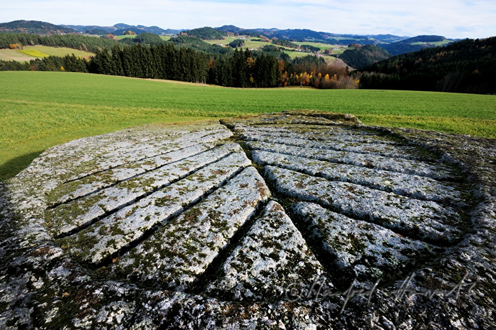 Pechölstein im Wald