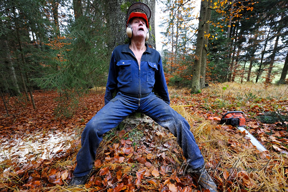 Holzknecht schlägert eine grosse Buche