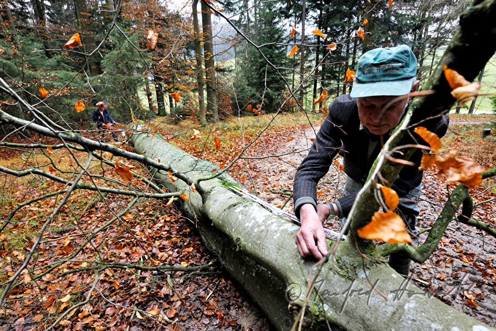 Holzknecht markiert wo der Stamm geschnitten wird