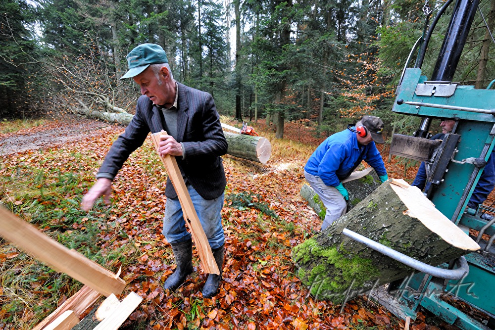 Buchenholz Aufschlichten im Wald auf Stapel