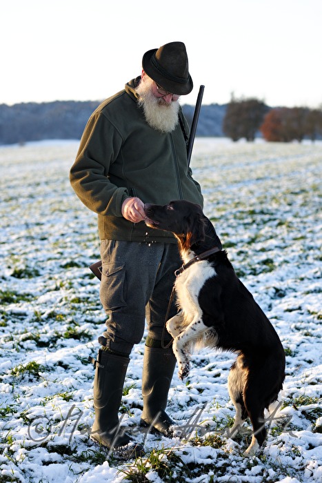 Jäger und Jagdhund bei einer Treibjagd