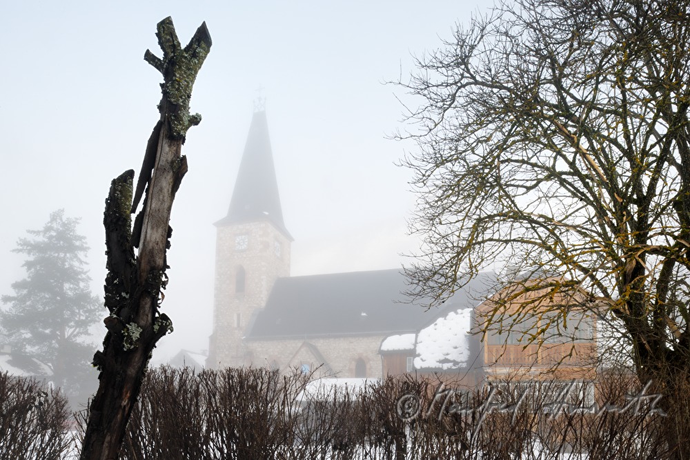 Kirche von Altaussee und abgestorbener Baum