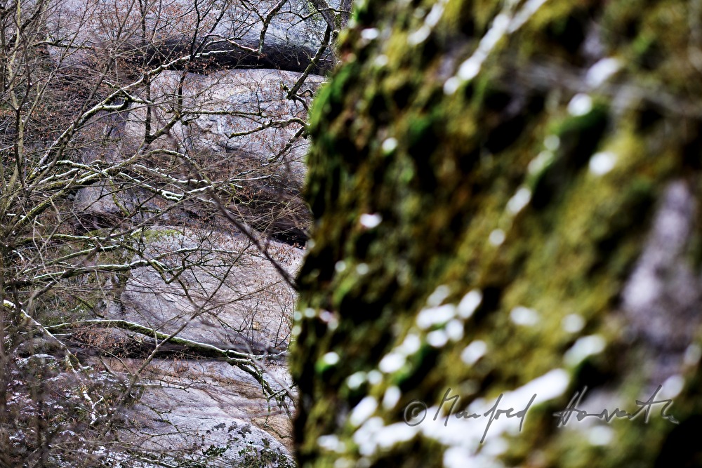 moosbedeckter Felsen und zerklüfteter Granit