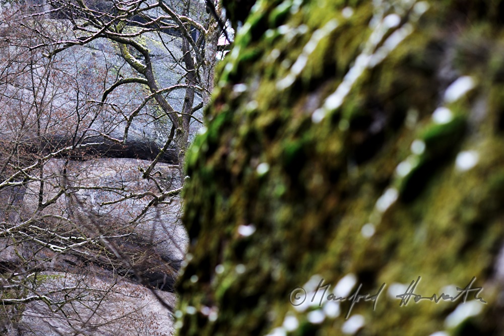 moosbedeckter Felsen und zerklüfteter Granit
