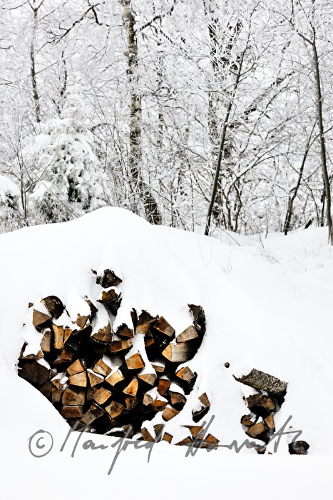 Holzstoss geschlichtet aus Meterscheiten