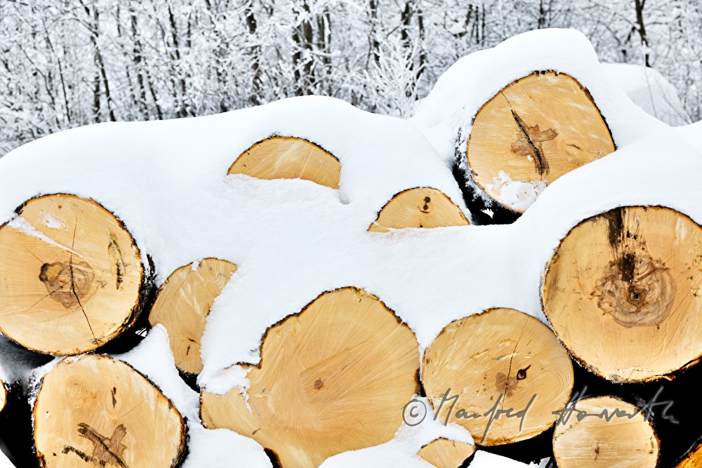 Holzstoss geschlichtet aus Meterscheiten