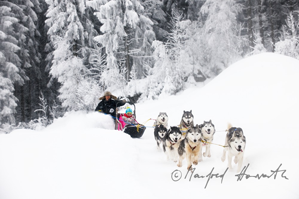 Hundeschlitten-Fahrt mit Gespann von 8 Huskys