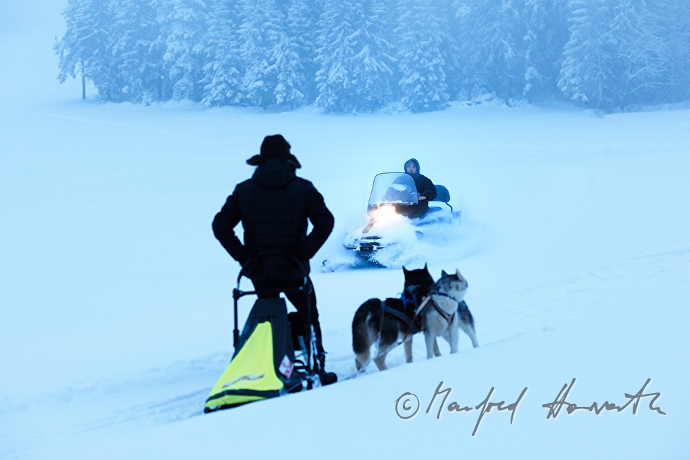 Frau mit Motorschlitten und Hundeschlitten