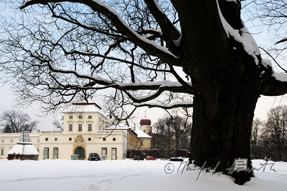 Schloss Ernstbrunn und Vorplatz