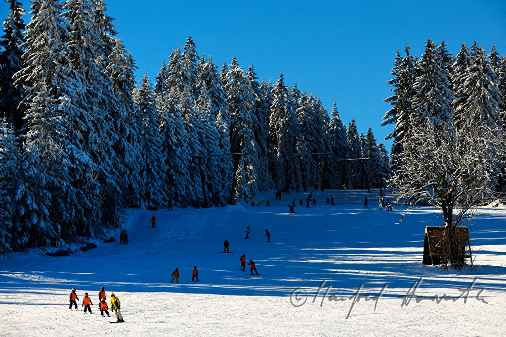 Kinder-Skikurs-Gruppe am Viehberg