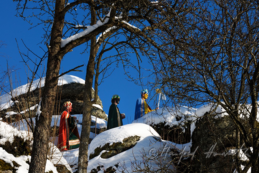 Sternsinger überqueren eine Waldlichtung