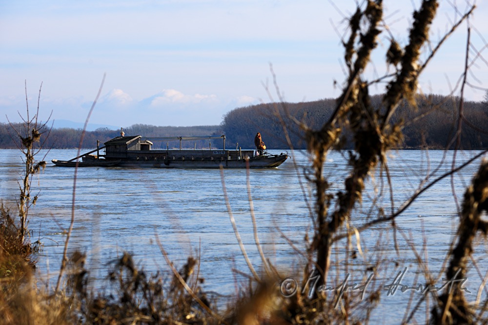 Tschaike (historische Donau-Zille) auf der Donau