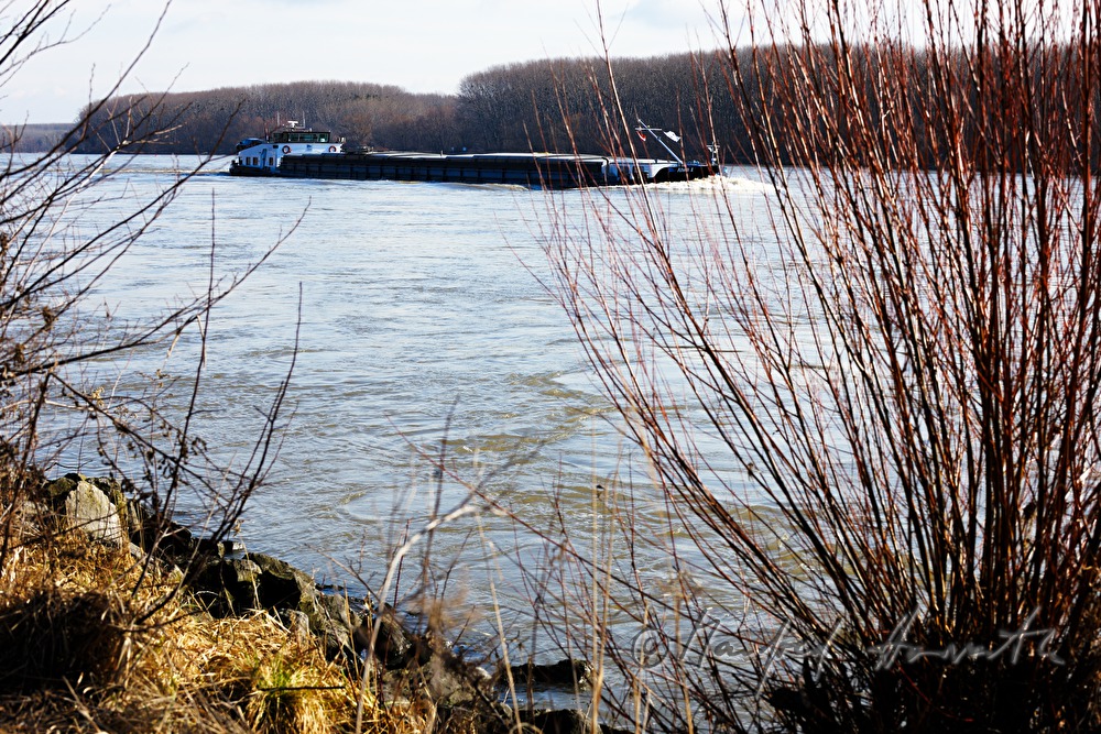 Donauschiff fährt flussaufwärts