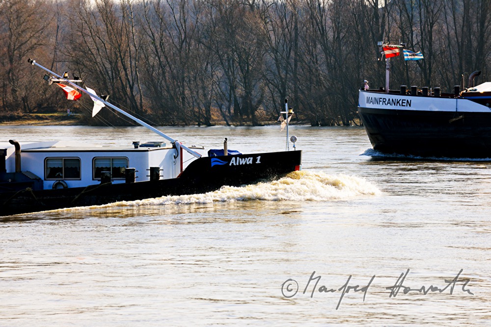 Donauschiff fährt flussaufwärts
