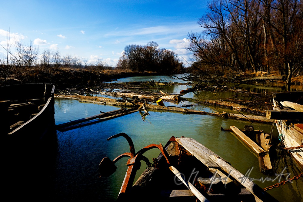 Treibholz und Buge der Schiffmühle im Donaualtarm
