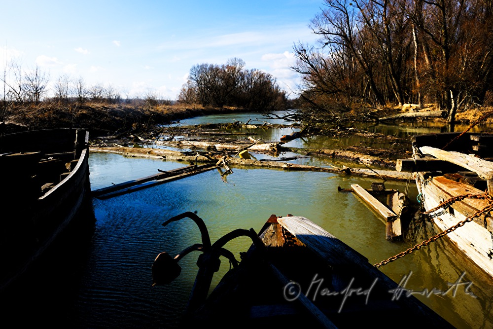 Treibholz und Buge der Schiffmühle im Donaualtarm
