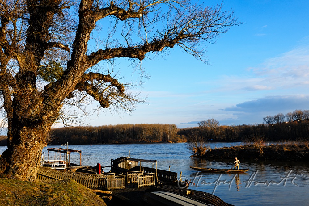 Donau-Zille legt bei der Tschaike an