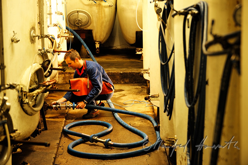 Einfüllen von Bier in Bierlagertanks im Keller