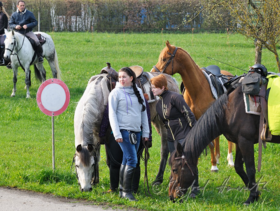 Reiterinnen warten auf den Beginn der Pferdewallfahrt (Georgiritt)