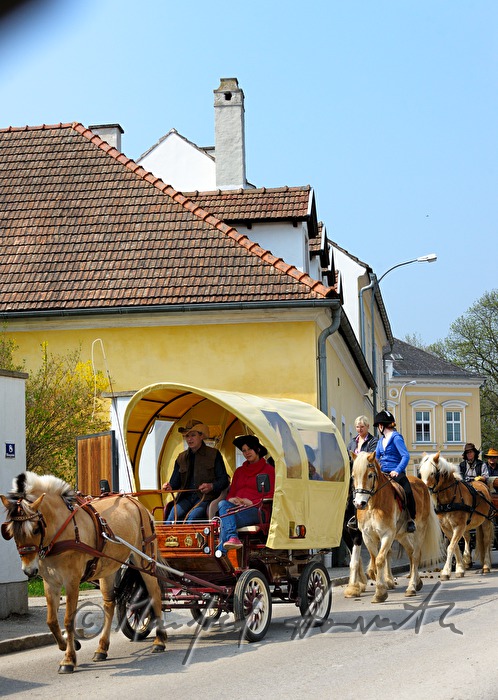 Pferdekutsche bei der Pferdewallfahrt (Georgiritt)