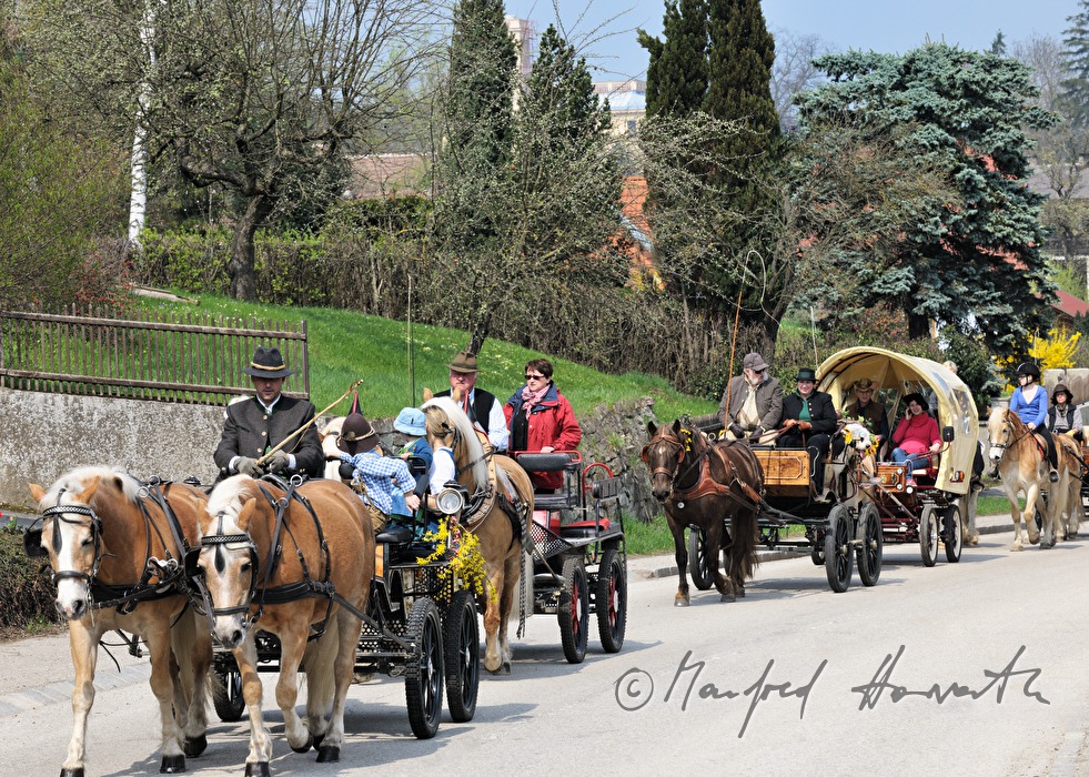 Pferdekutsche bei der Pferdewallfahrt (Georgiritt)