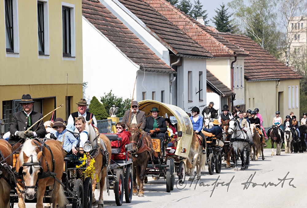 Pferdekutsche bei der Pferdewallfahrt (Georgiritt)