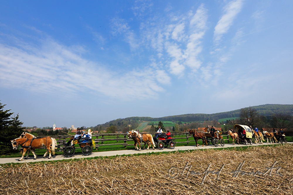 Pferdekutschen bei der Pferdewallfahrt (Georgiritt)