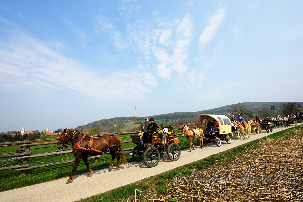 Pferdekutschen bei der Pferdewallfahrt (Georgiritt)