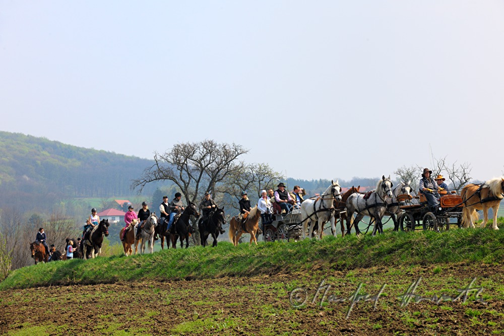 Reiter und Pferdekutschen bei der Pferdewallfahrt (Georgiritt)