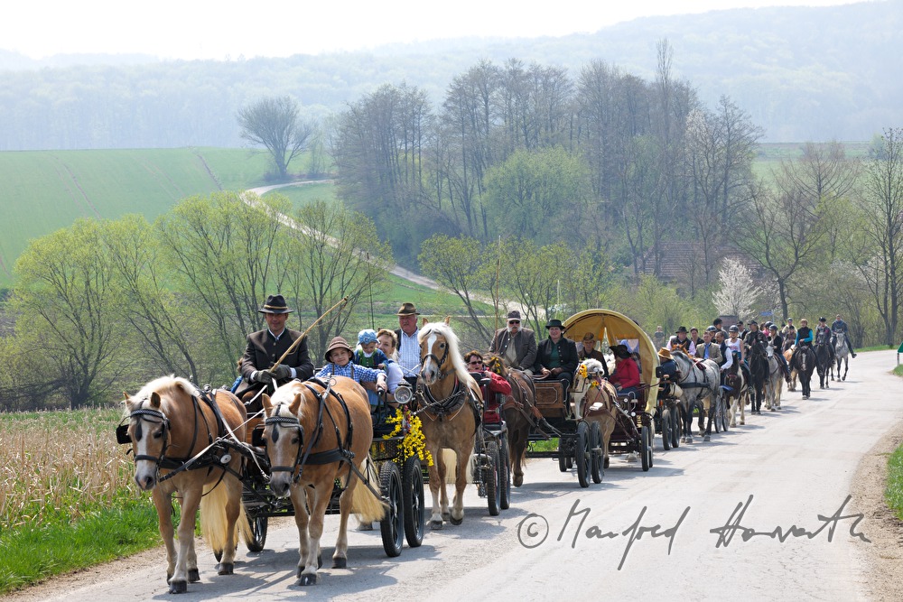 Reiter und Pferdekutschen bei der Pferdewallfahrt (Georgiritt)
