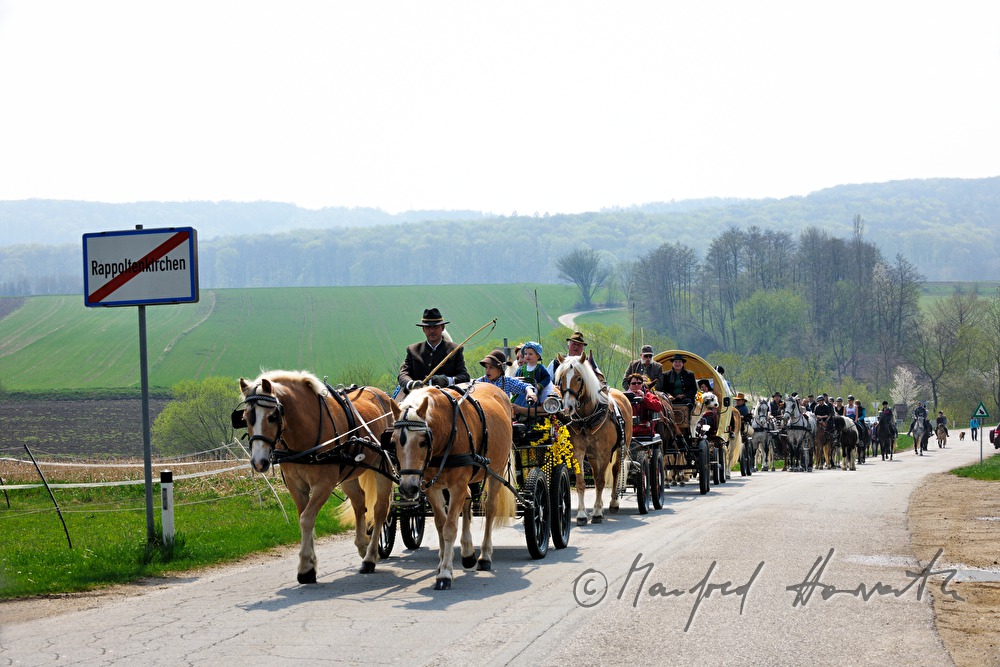 Reiter und Pferdekutschen bei der Pferdewallfahrt (Georgiritt)