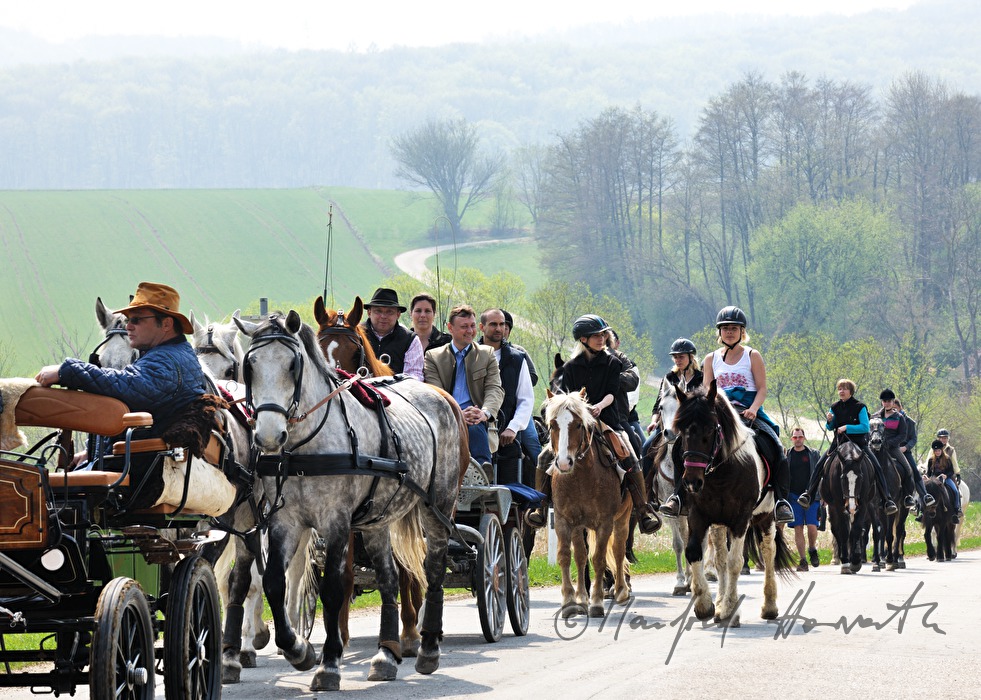 Reiter und Pferdekutschen bei der Pferdewallfahrt (Georgiritt)