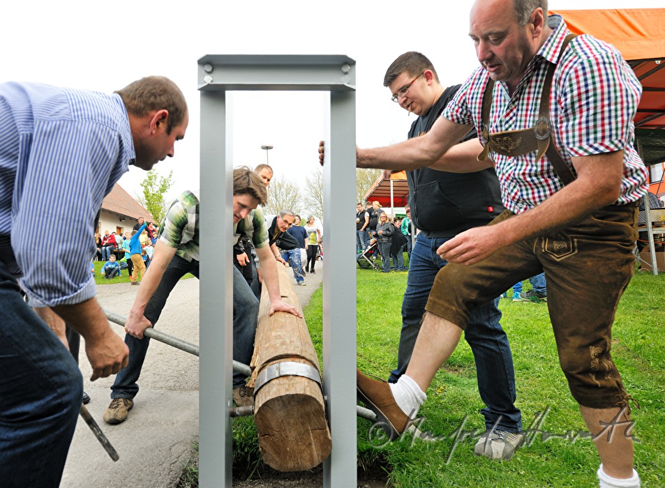 Maibaumaufstellen beim Dorfmuseum am 1. Mai