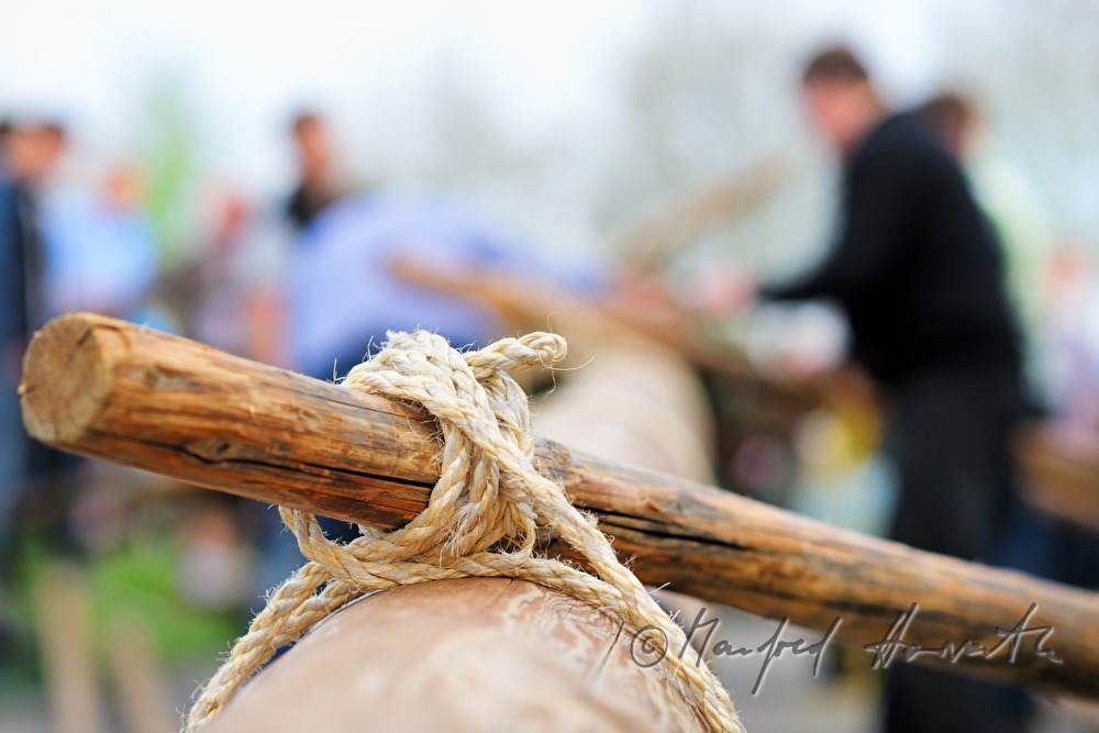 Maibaumaufstellen beim Dorfmuseum am 1. Mai