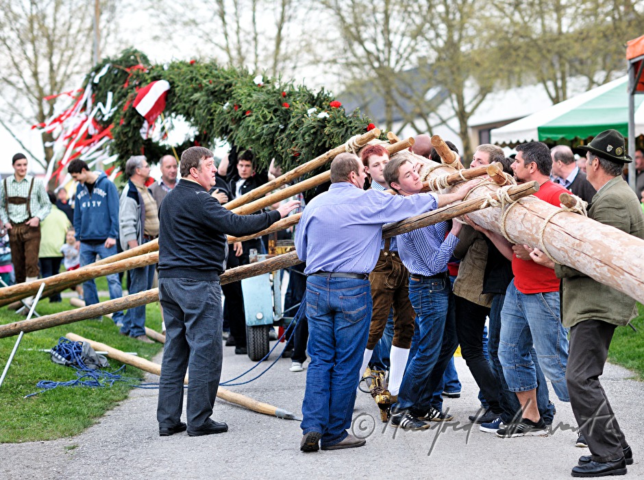 Maibaumaufstellen beim Dorfmuseum am 1. Mai