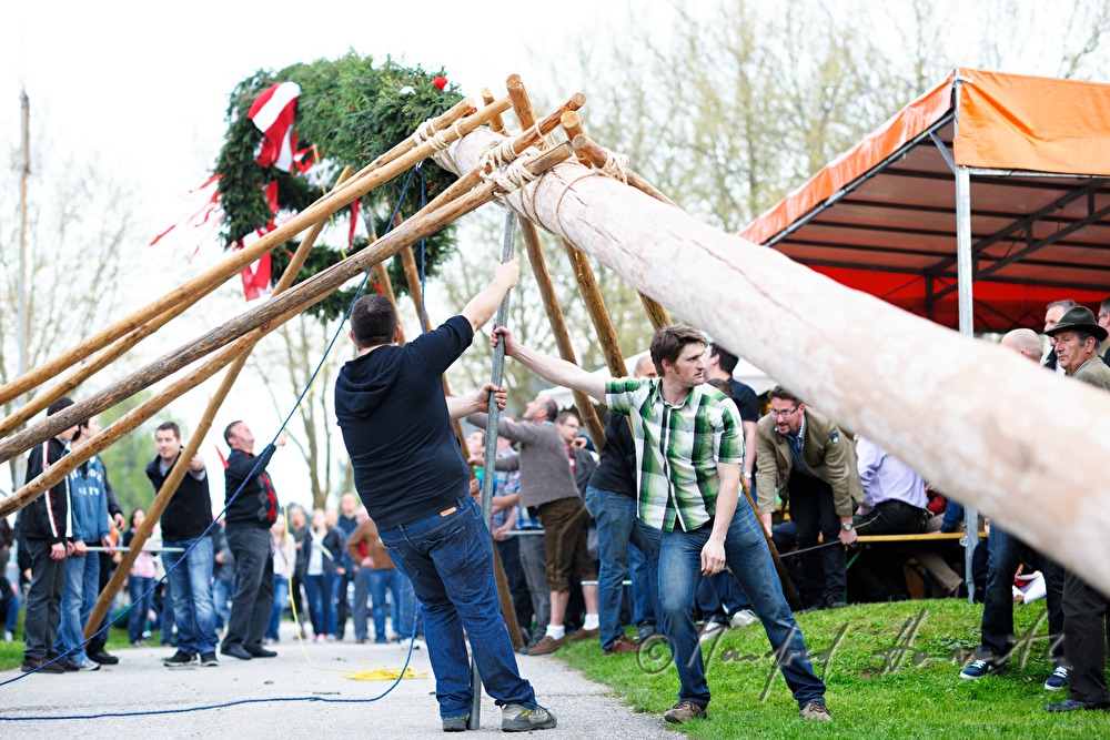 Maibaumaufstellen beim Dorfmuseum am 1. Mai