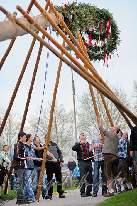 Maibaumaufstellen beim Dorfmuseum am 1. Mai