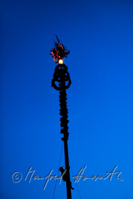 Maibaum-Kletterer mit Rose im Mund (erfolgreiche Tour)