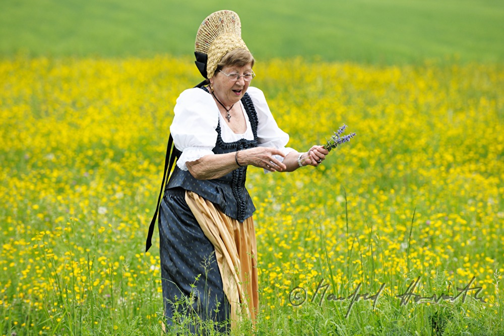 Frau in Wachauer Tracht beim Blumenpflücken