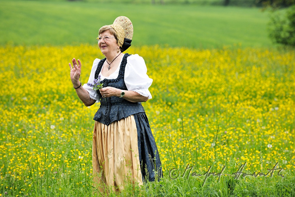 Frau in Wachauer Tracht beim Blumenpflücken