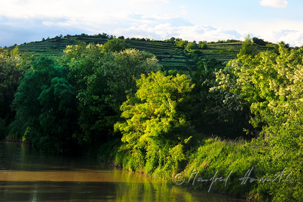 Weinberge um Schönberg
