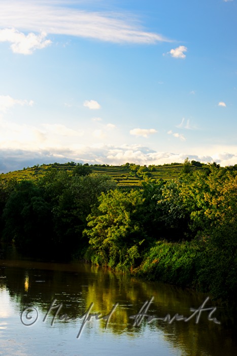 Weinberge um Schönberg